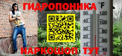 индика Свободный