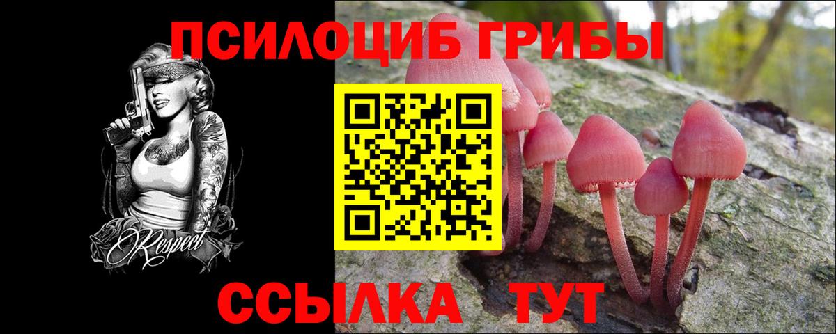 Псилоцибиновые грибы ЛСД Саров