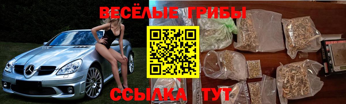 Псилоцибиновые грибы Psilocybe  Вход с VPN  Саров  Галлюциногенные грибы Cubensis 
